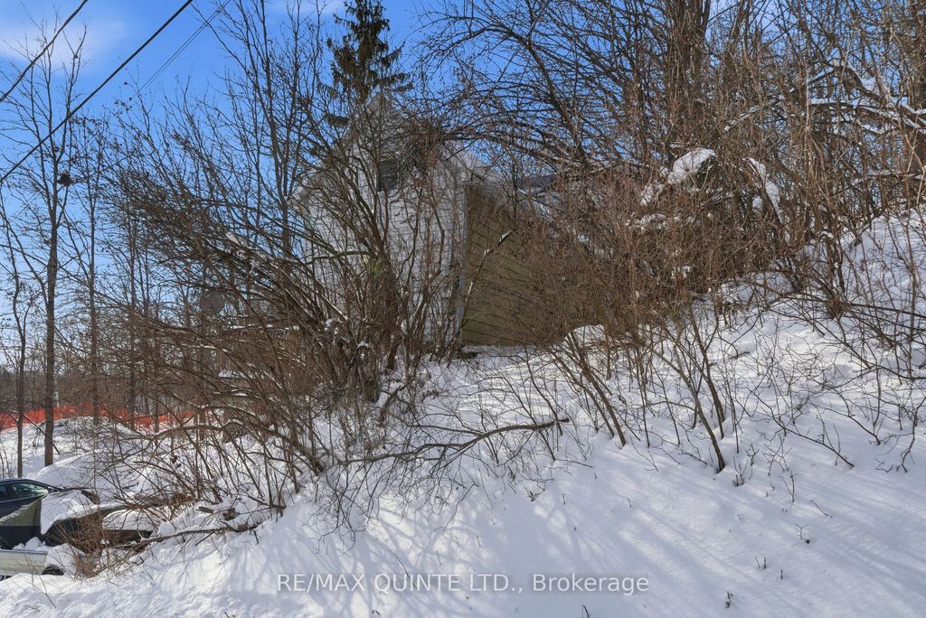 Photo of 94 Maple Street, Trent Hills, ON K0K 1L0 (MLS # X12726530)