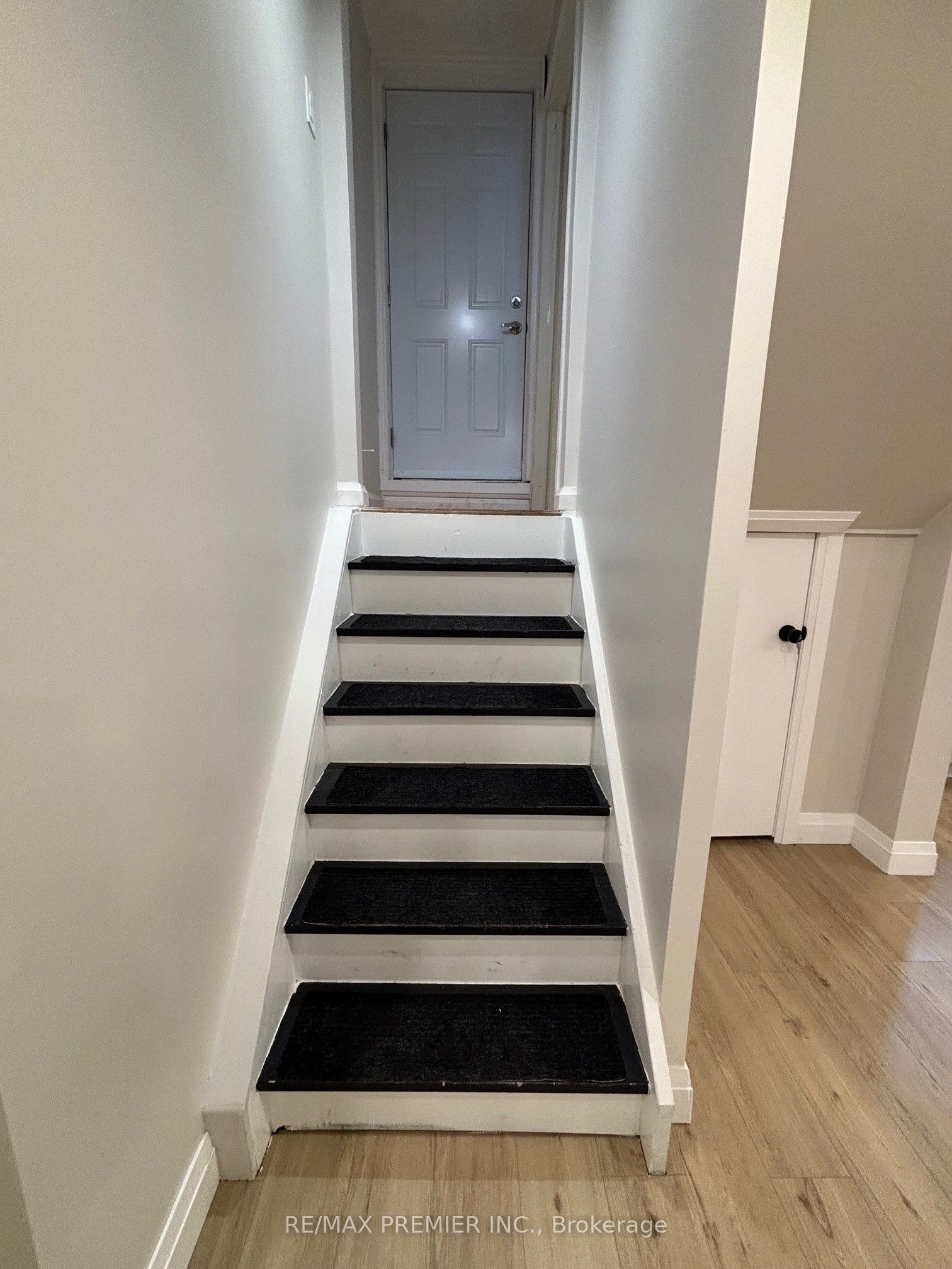 106 Bologna Road Basement