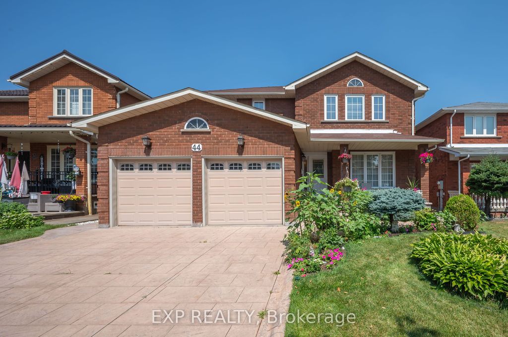 Photo of 44 Wexford Road, Brampton, ON L6Z 2W3 (MLS # W12450634)