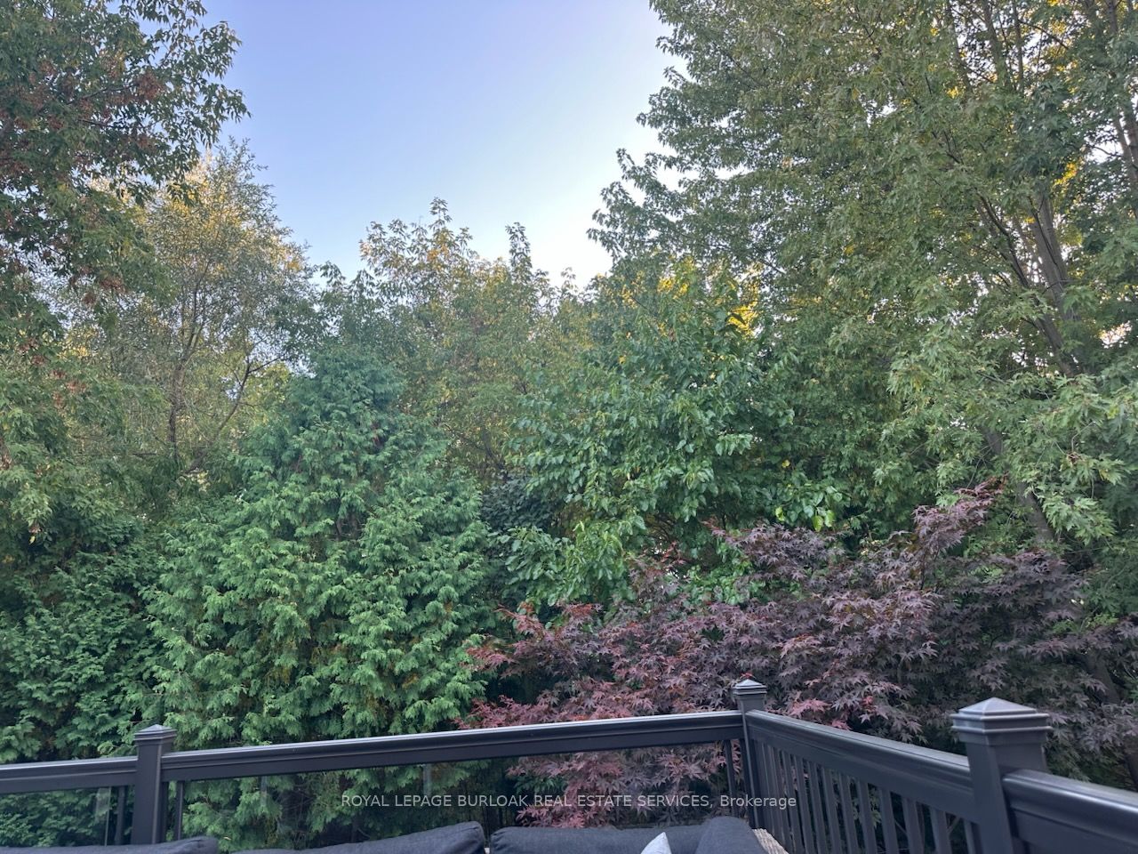 3202 Steeplechase Drive