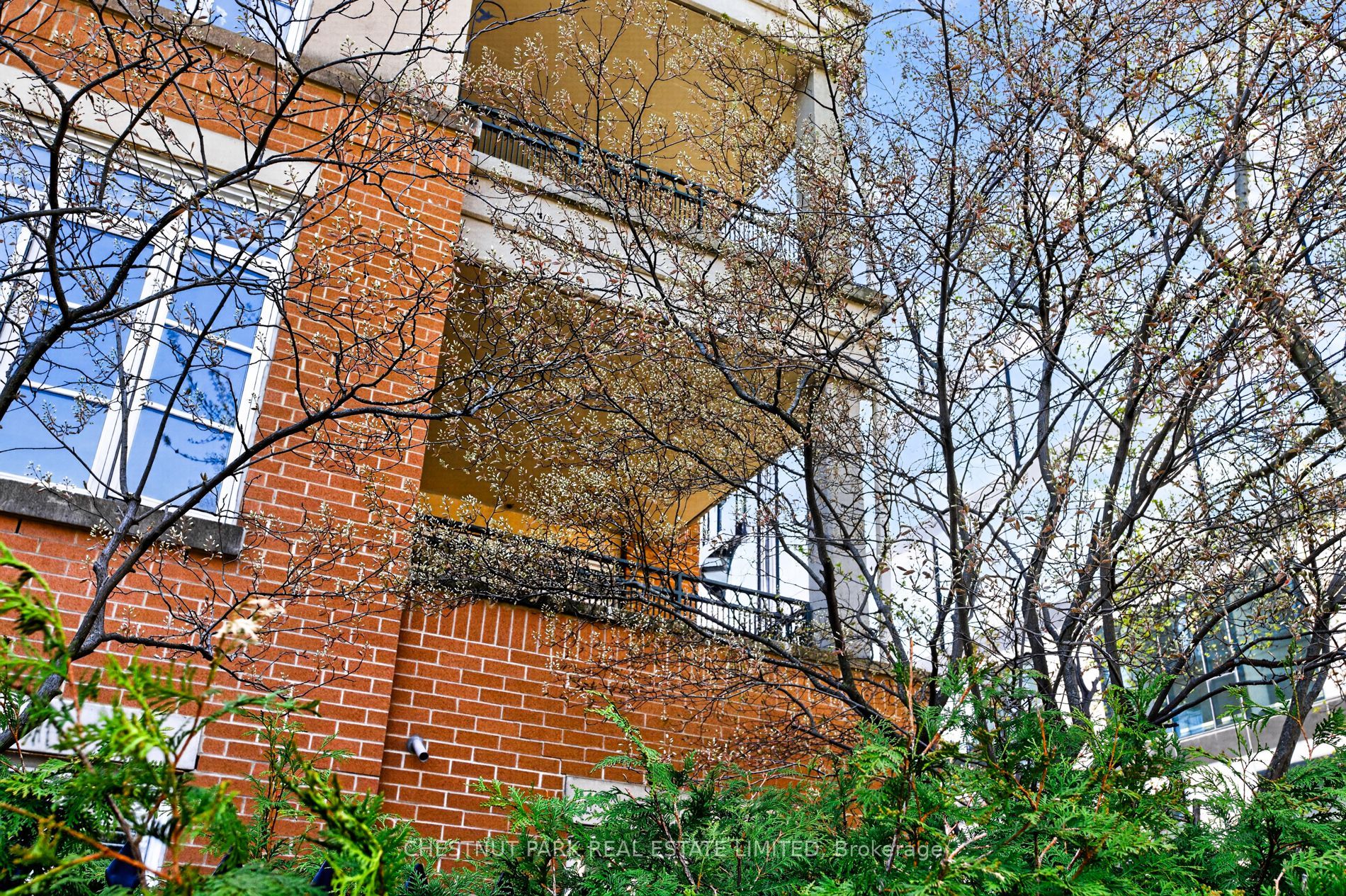 21 Shaftesbury Avenue 203