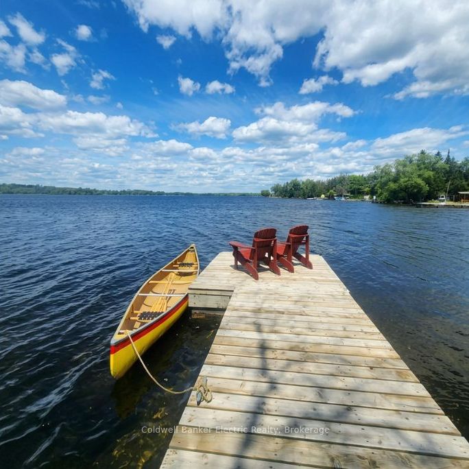 Photo of 1647 Stenner Road, Douro-Dummer, ON K0L 2H0 (MLS # X13610478)