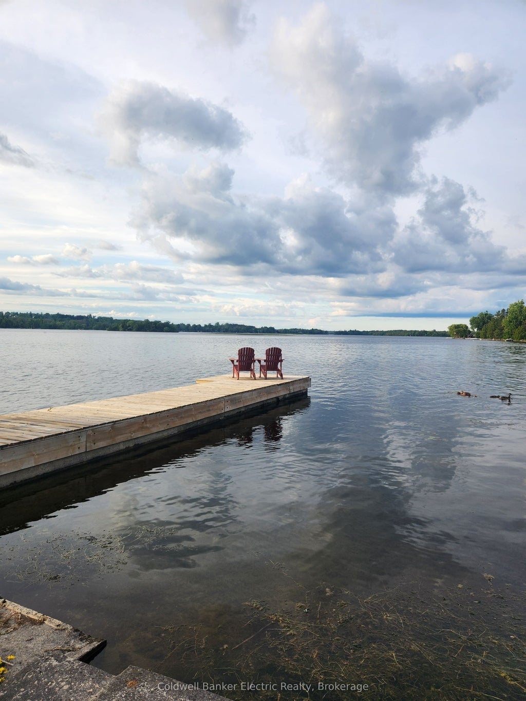 Photo of 1647 Stenner Road, Douro-Dummer, ON K0L 2H0 (MLS # X13610478)