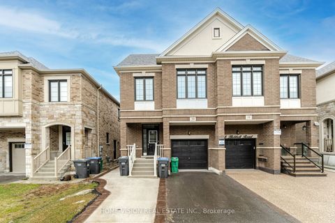 20 Hubbell Road Bsmt Brampton ON L6Y 2A5