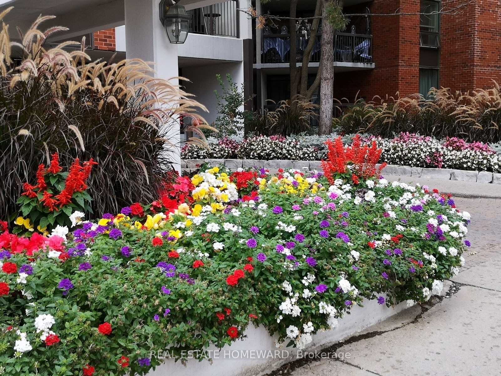 77 Maitland Place 409