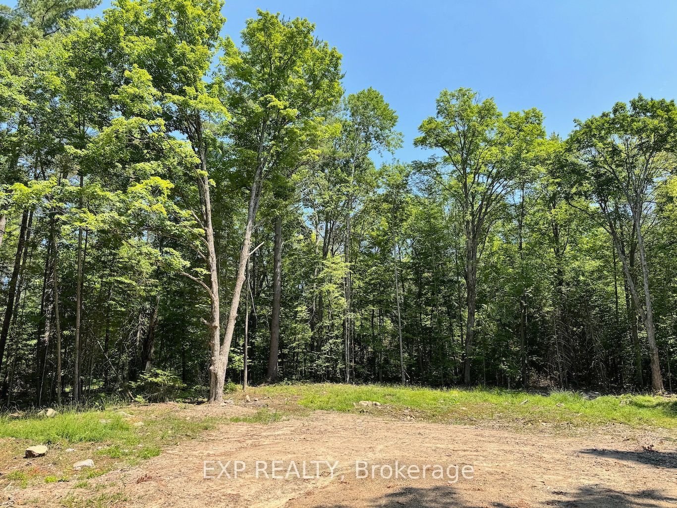 Photo 1 of 9 — Lot 21 Lakewoods Drive, Madawaska Valley, ON K0J 1B0