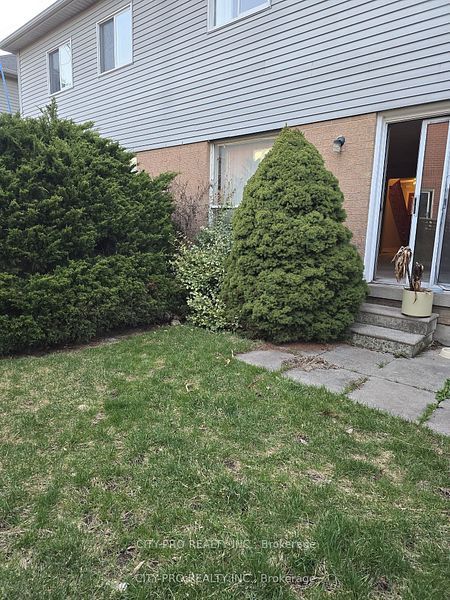 55 Rain Lily Lane