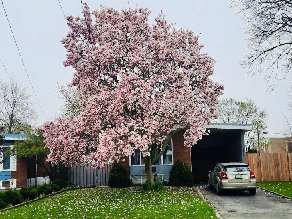Photo of 154 Luscombe Street, Hamilton, ON L9A 2K3 (MLS # X13539084)