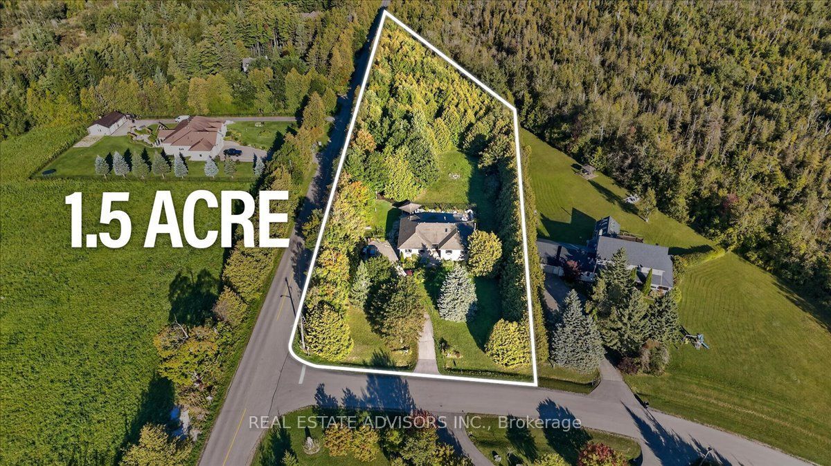 19 Mcconachie Crescent