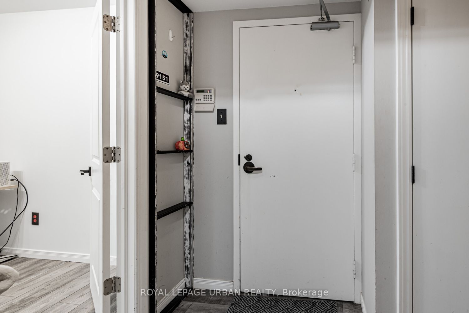 25 Maitland Street 505