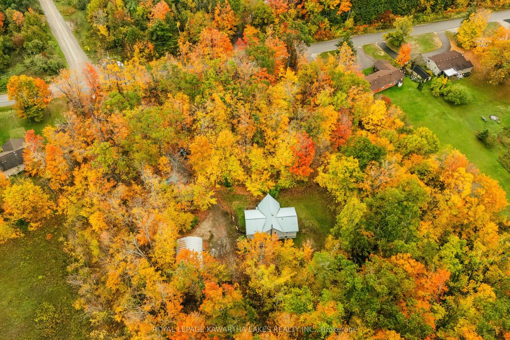 Photo of 693 Balsam Lake Drive, Kawartha Lakes, ON K0M 2B0 (MLS # X12475205)