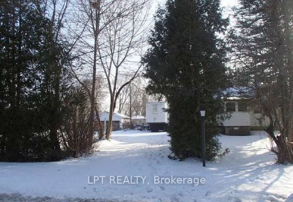 Photo of 91 Lilly Street W, New Tecumseth, ON L0G 1A0 (MLS # N12773910)