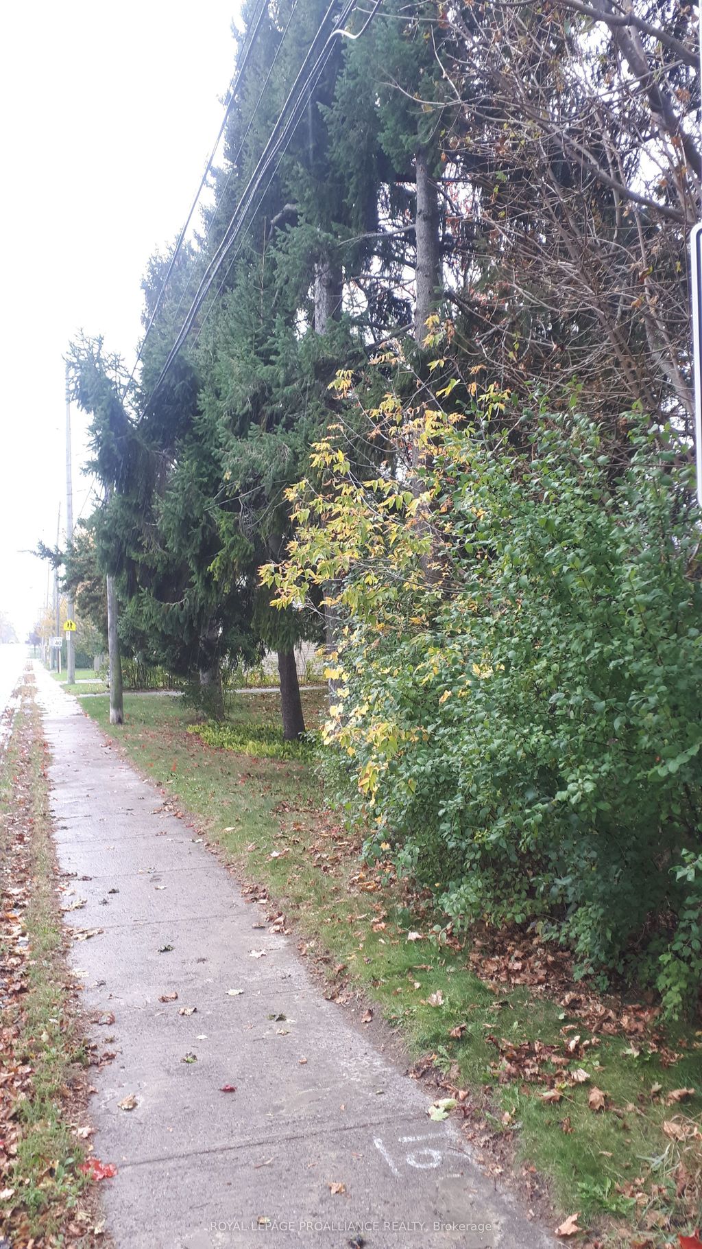 Photo of 198 Victoria Street N, Port Hope, ON L1A 3N3 (MLS # X12476384)