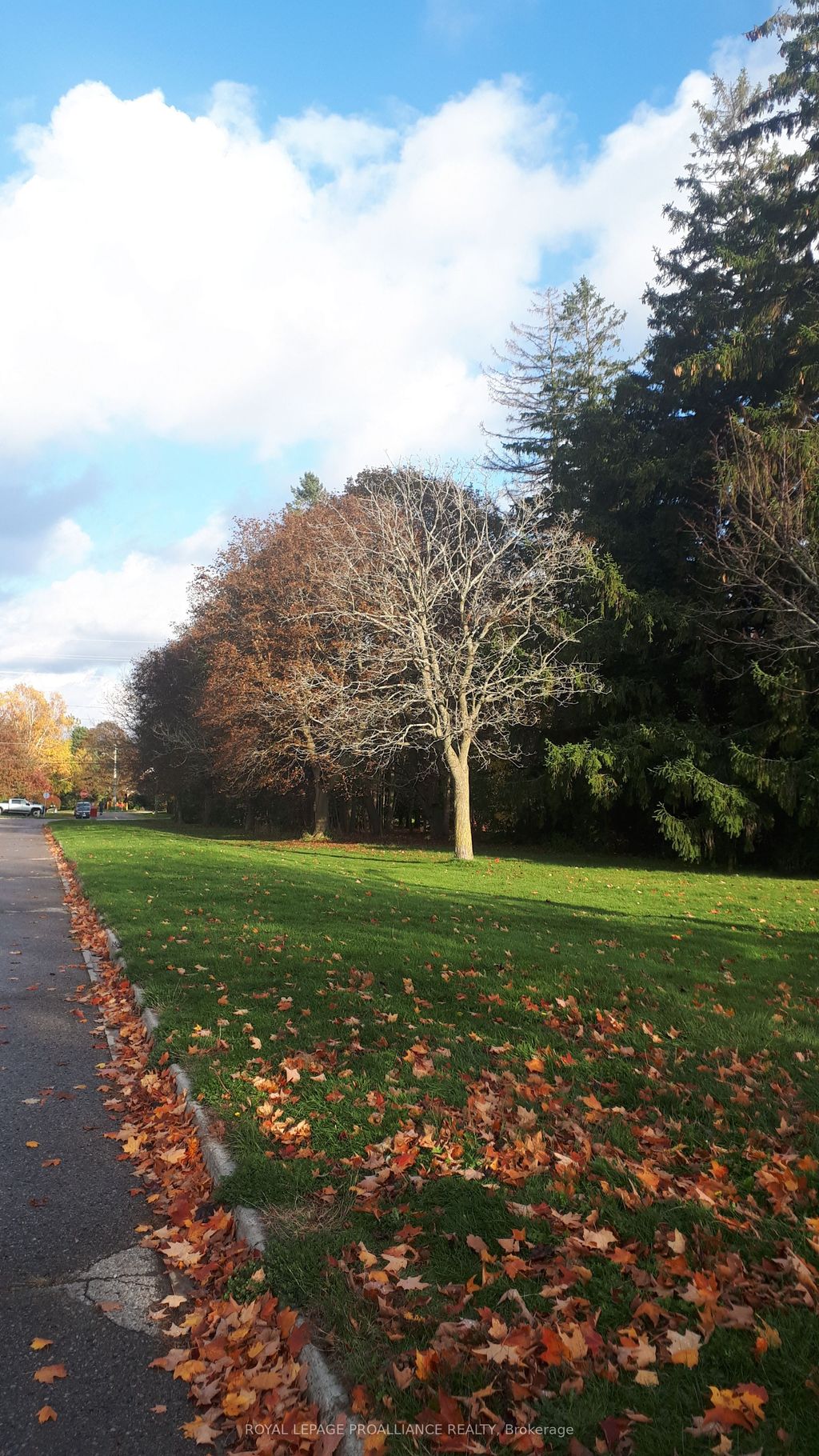 Photo of 198 Victoria Street N, Port Hope, ON L1A 3N3 (MLS # X12476384)