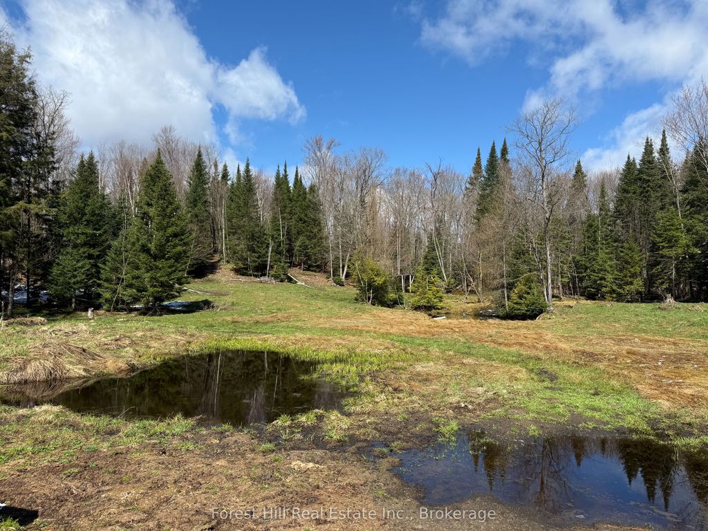 Photo of 940 Fern Glen Road, Perry, ON P0A 1J0 (MLS # X13075908)