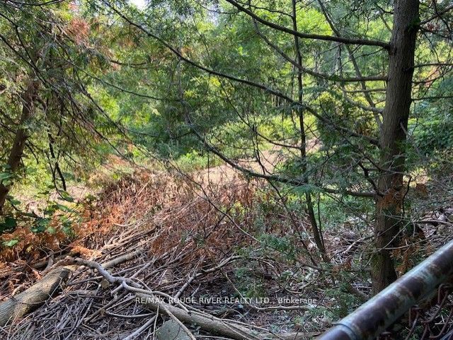 23 Westlake Crescent