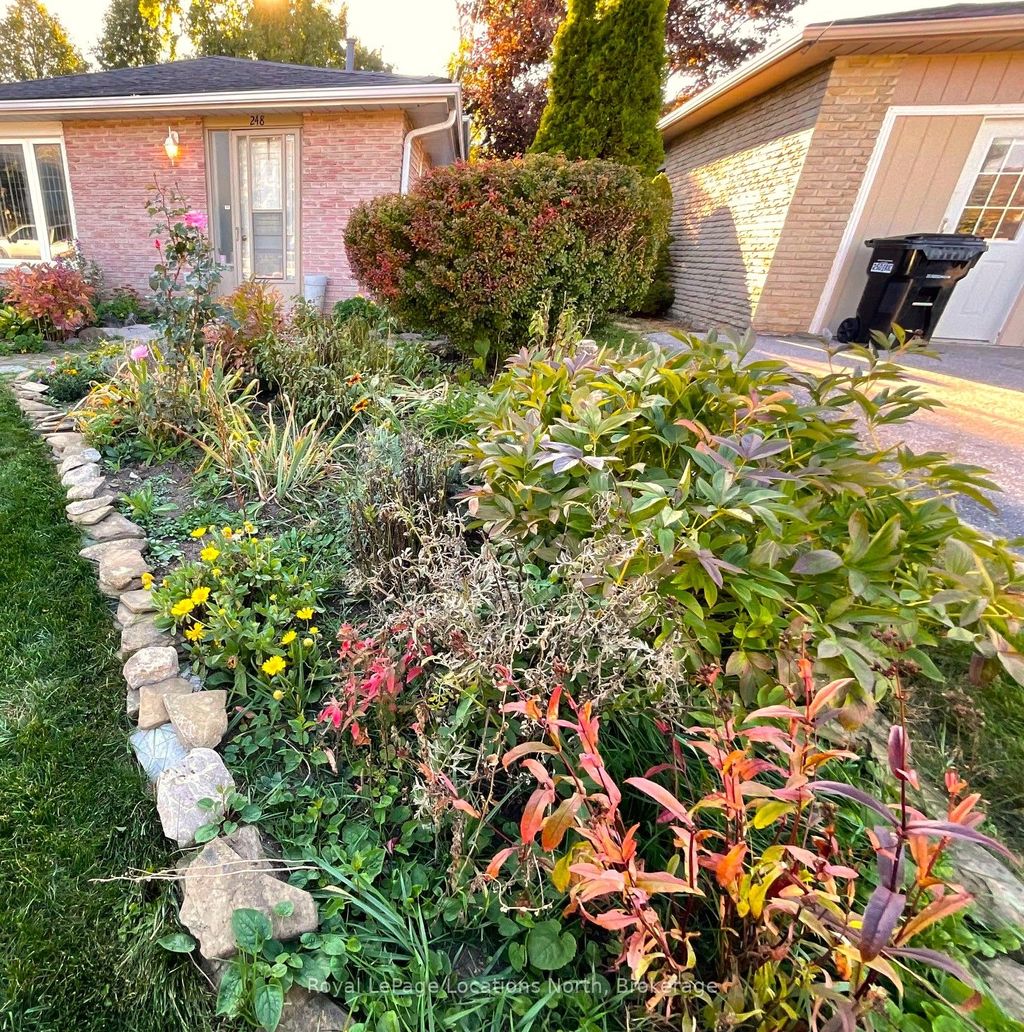 Photo of 248 Eric Street, Clearview, ON L0M 1S0 (MLS # S12588966)