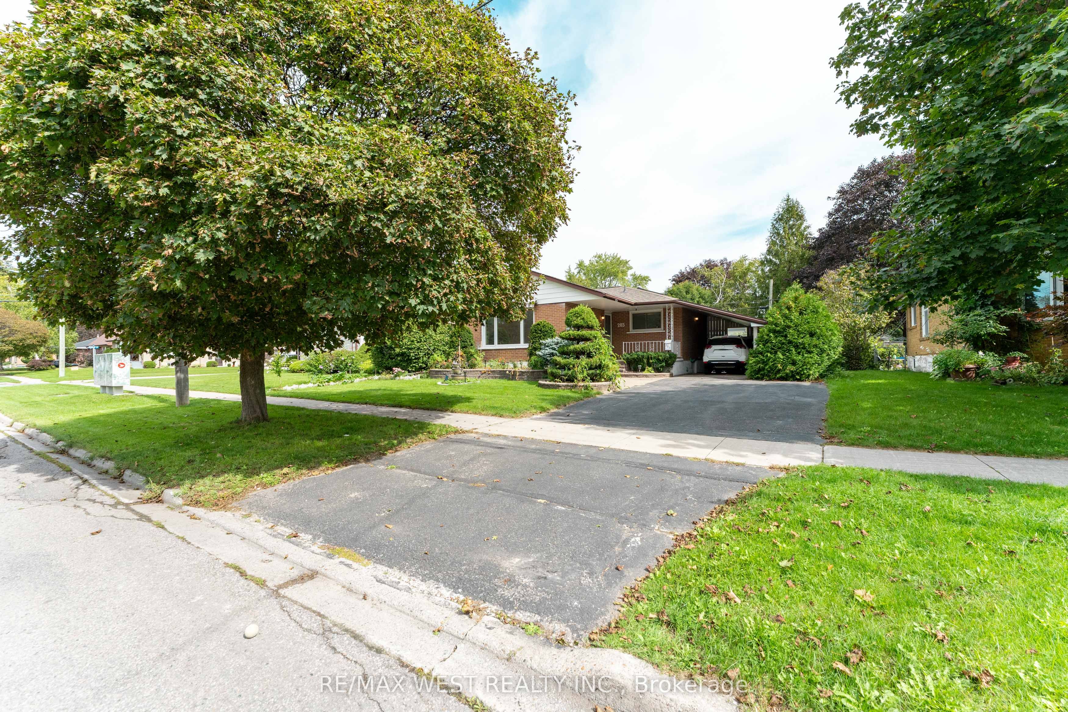203 Lupin Drive