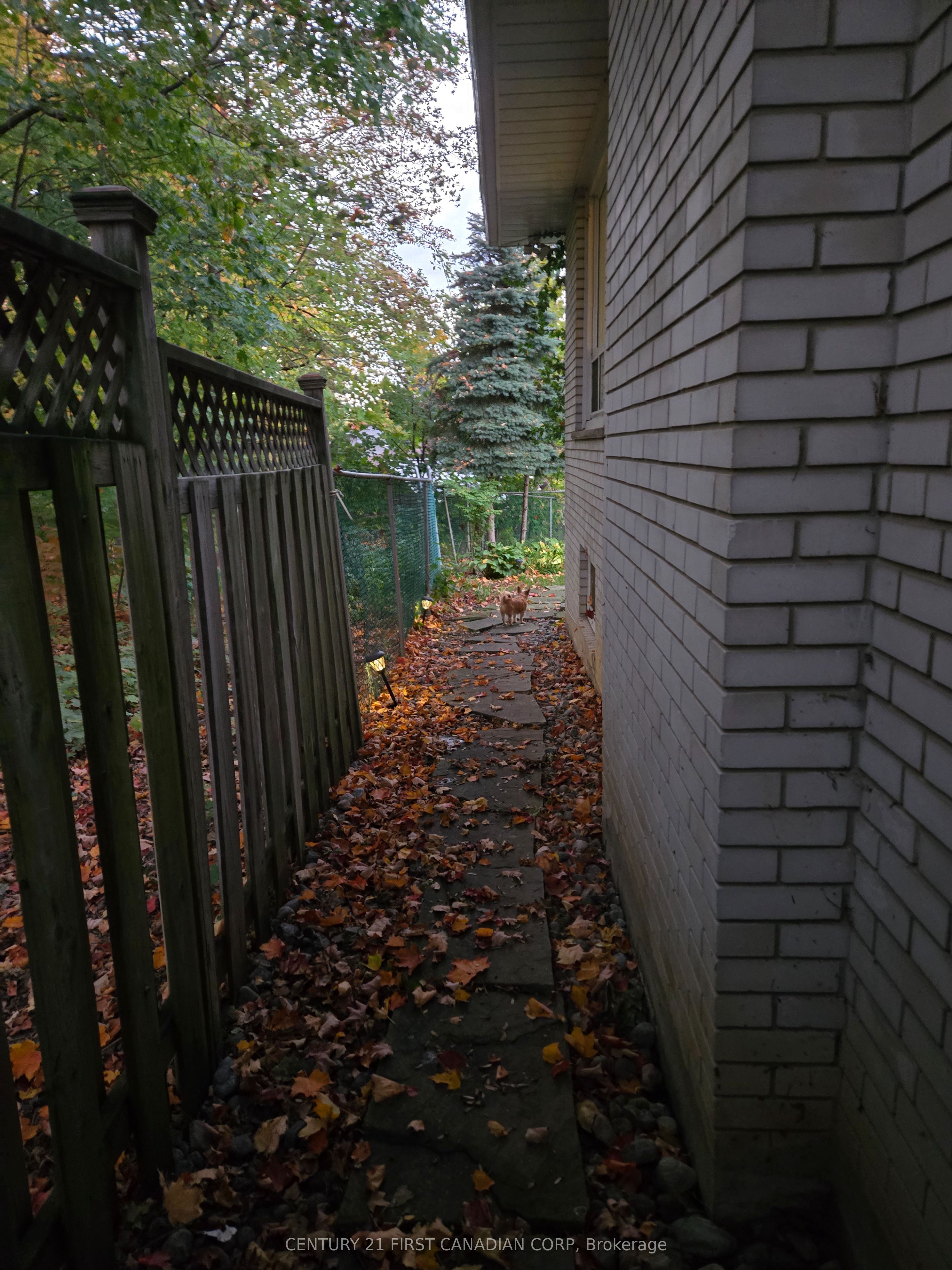 54 Waterford Drive lower