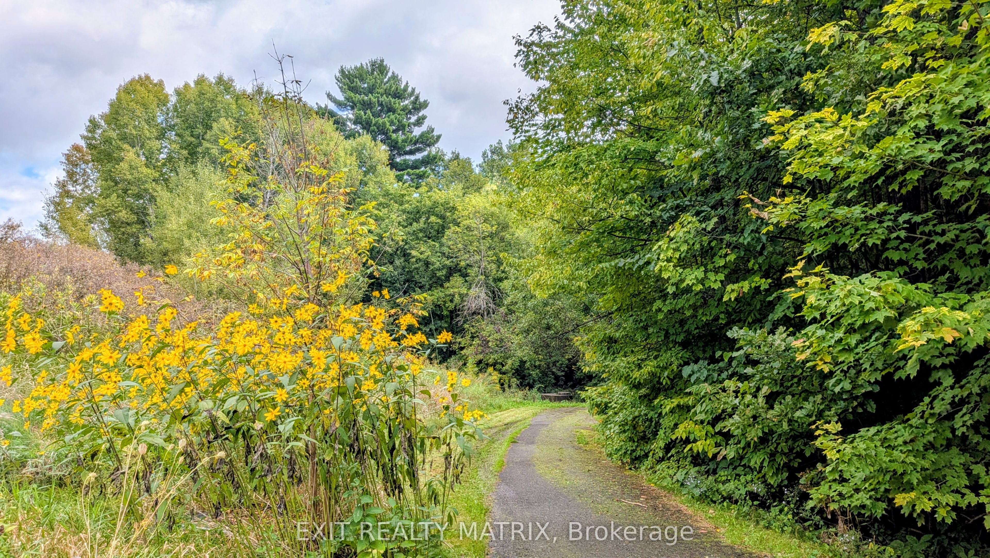 Bilberry Creek Trail