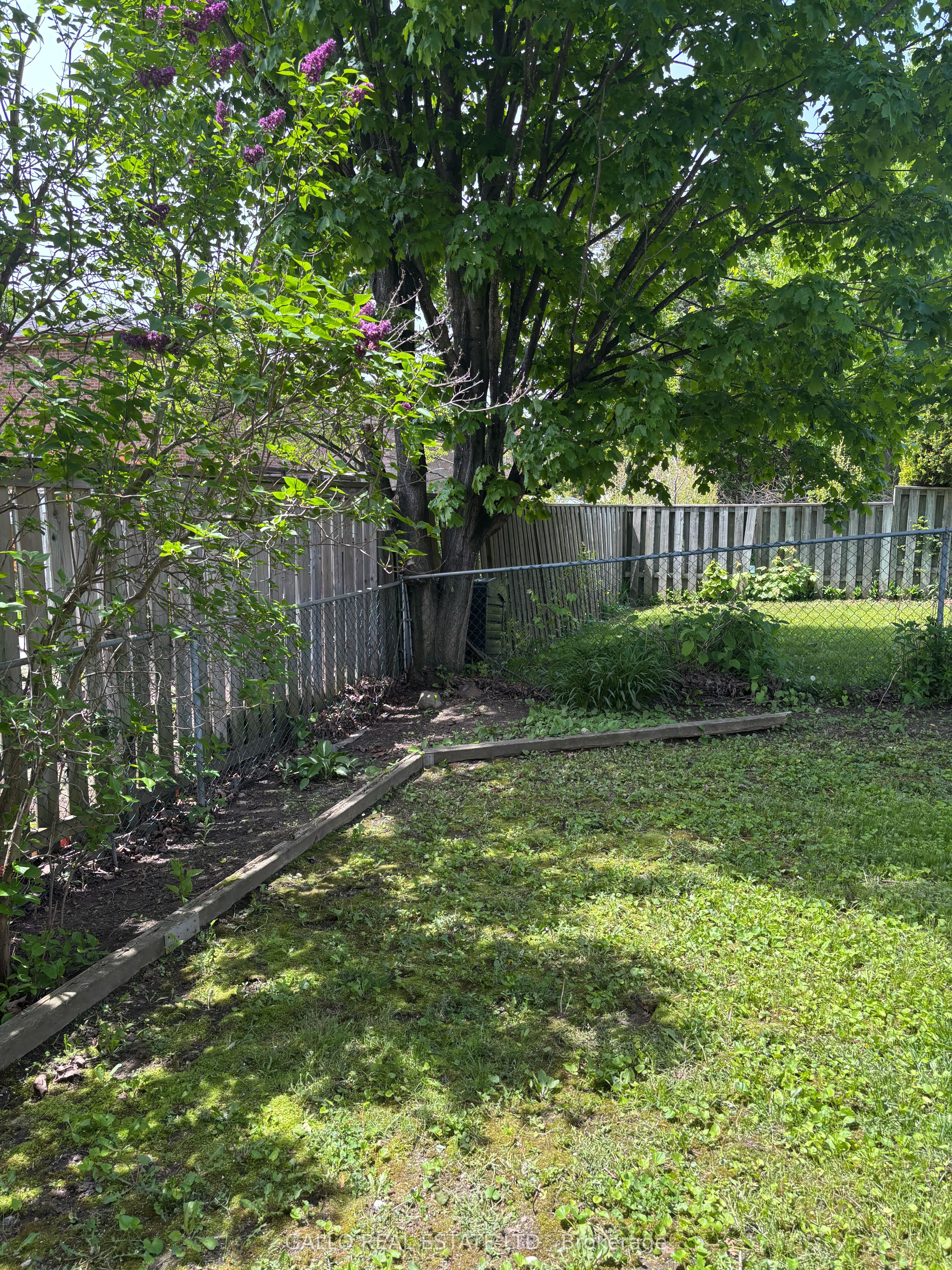 35 Delmark Boulevard