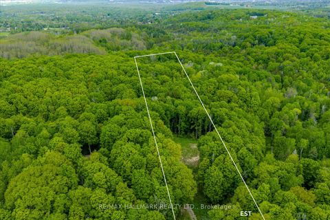 430 Churchill Avenue King ON L7B 0G9