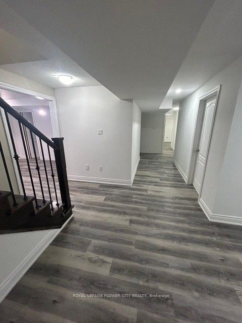 21 Agincourt Circle Basement