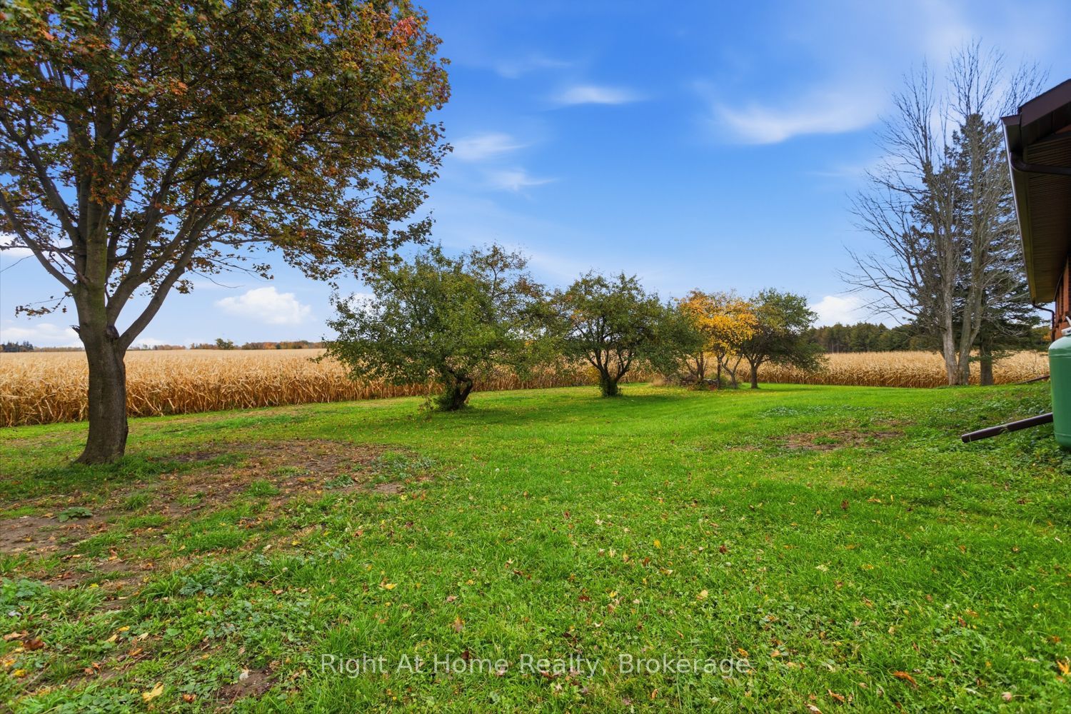 10651 Old Scugog Road