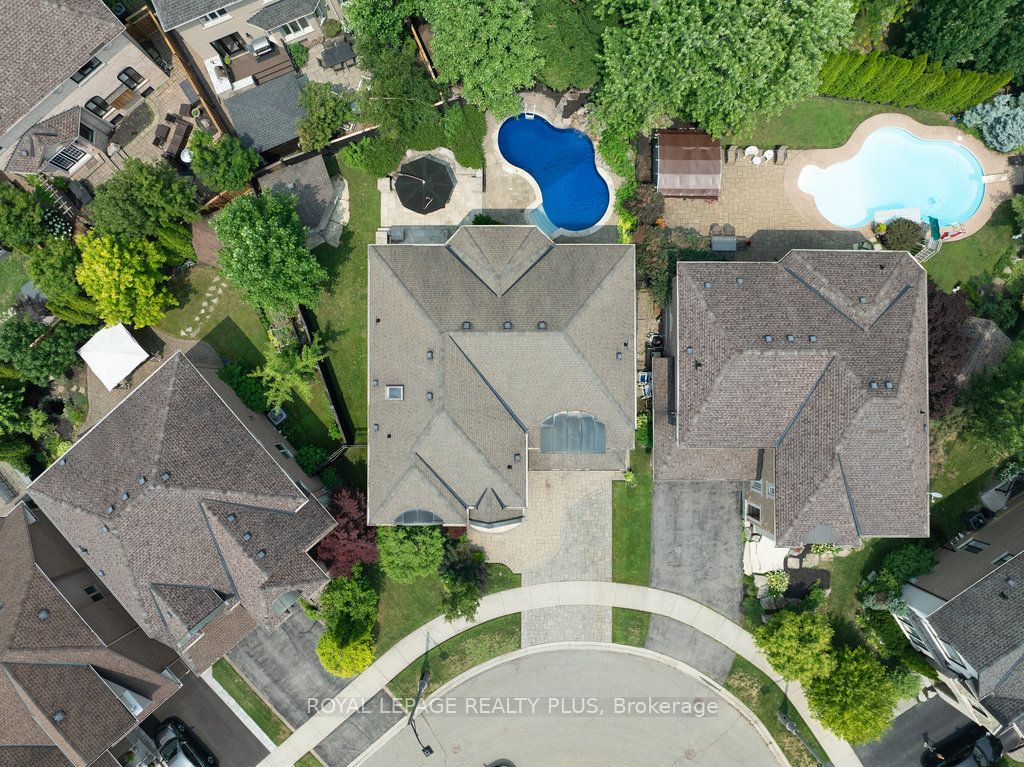 3321 Springflower Way