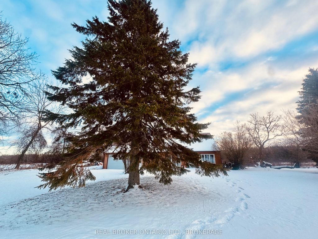 Photo of 2268 Mcintyre Road, Loyalist, ON K0H 1G0 (MLS # X12657358)