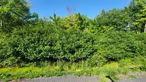 Photo 1 of 1 — LOT 7 PLAN 246 Tolmies Corners Road, North Stormont, ON K0C 1V0