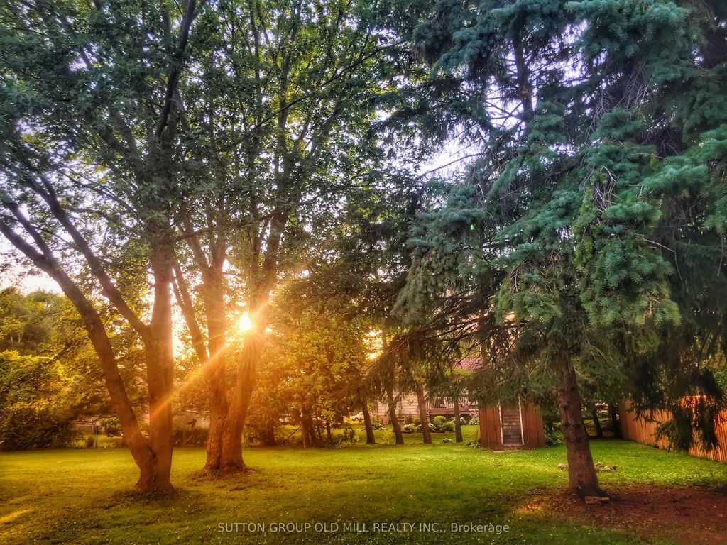 Photo of 124 Bruce Street S, Blue Mountains, ON N0H 2P0 (MLS # X12893502)