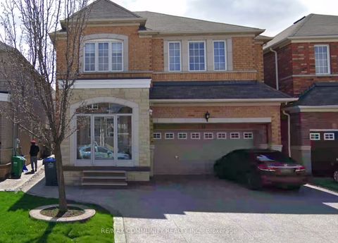 56 Powell Drive Bsmt Brampton ON L6R 0L1