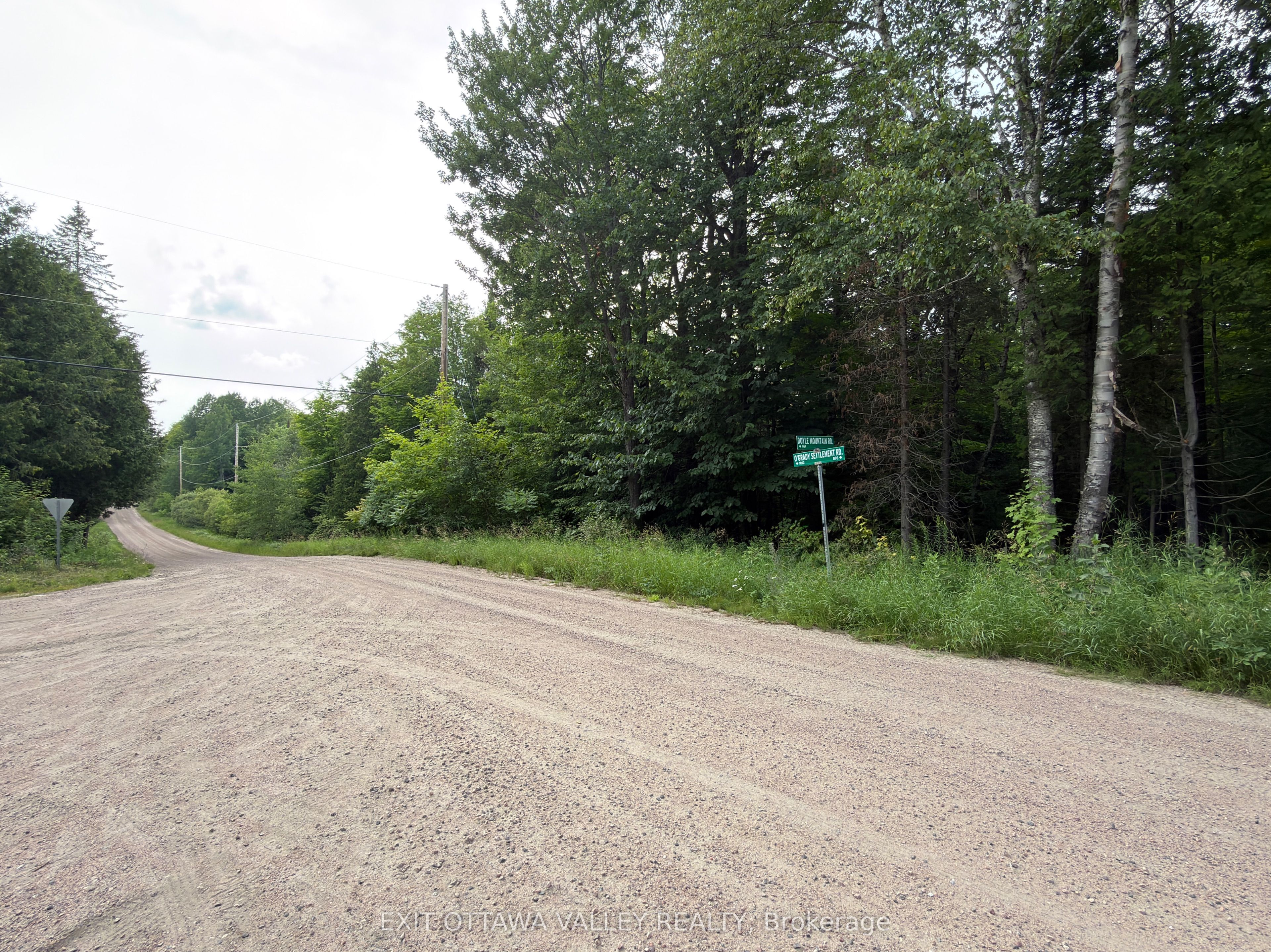 942 O'Grady Settlement Road - Photo 2