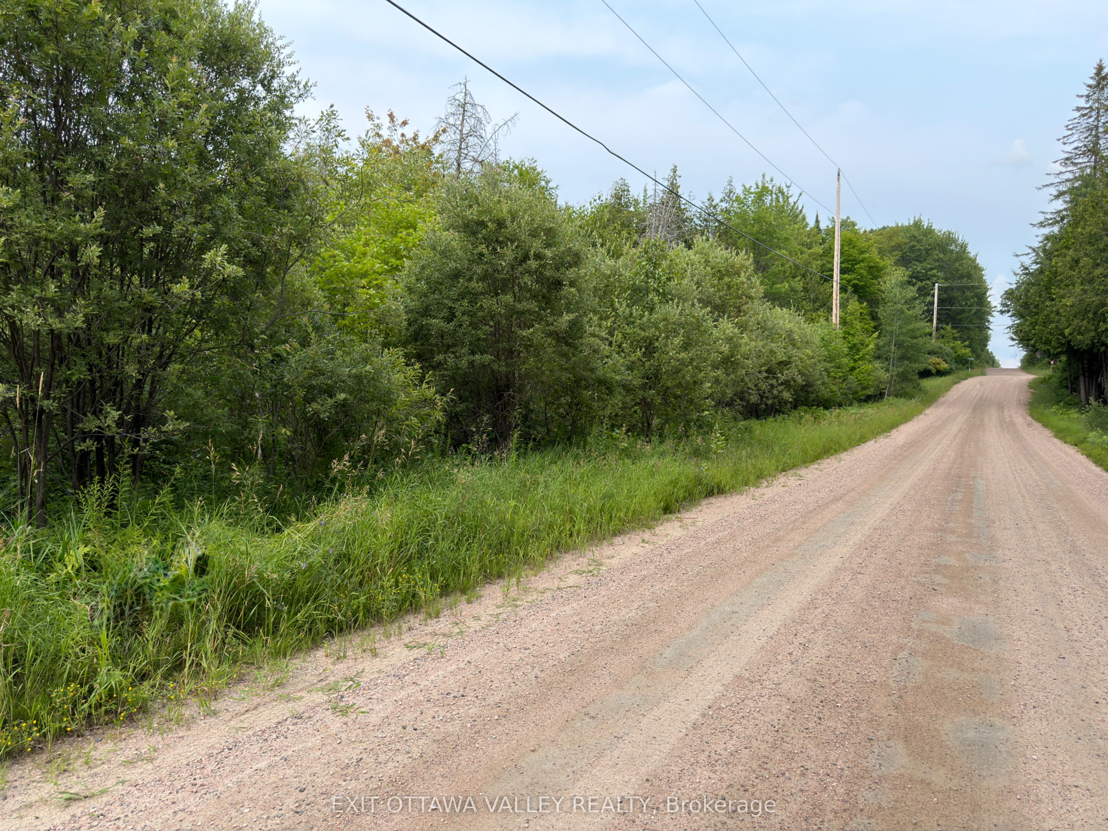 942 O'Grady Settlement Road - Photo 3