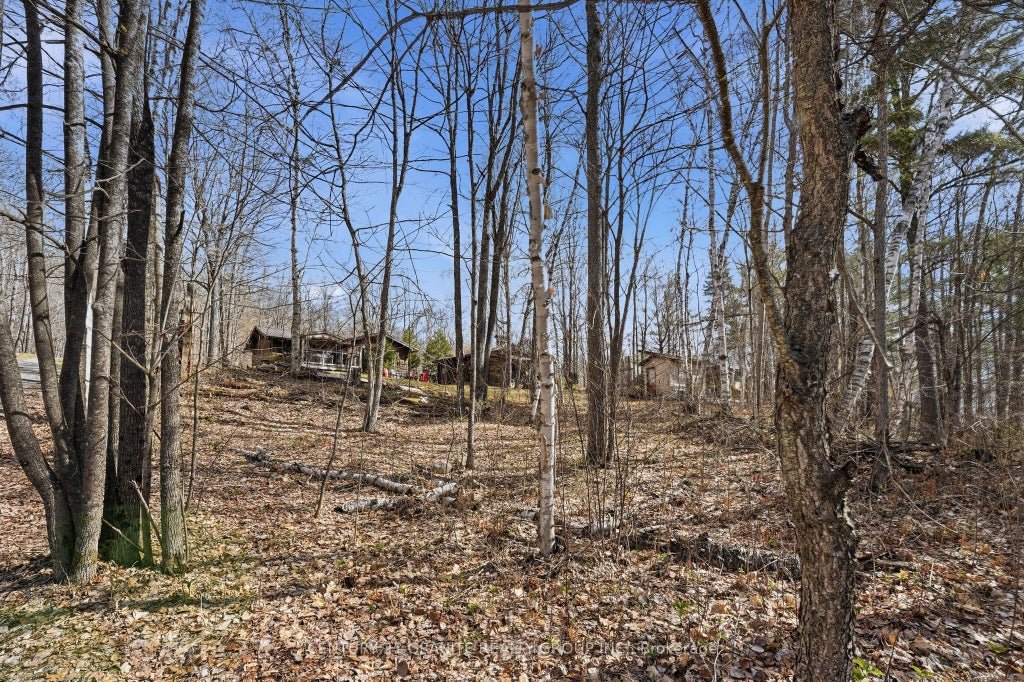 Photo of 2349 N Baptise Lake Road, Hastings Highlands, ON K0L 1C0 (MLS # X13112316)