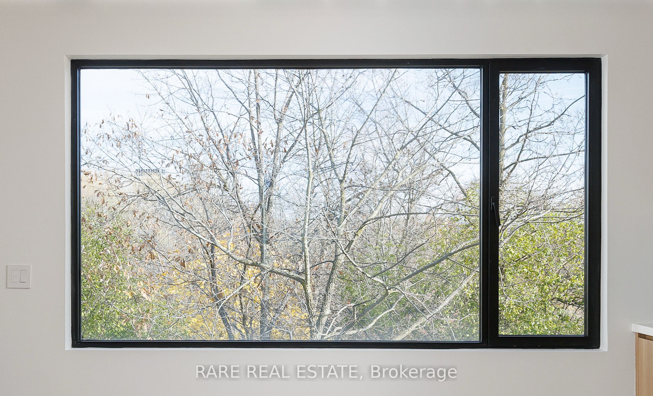 451 Montrose Avenue laneway