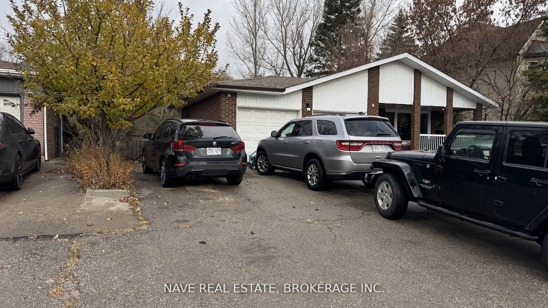 50 Elgin Mills Road W Basement
