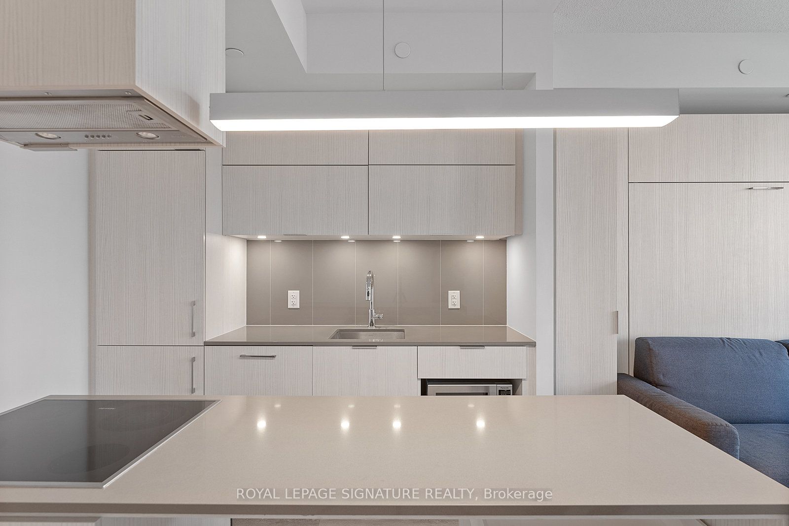 15 Lower Jarvis Street 1509