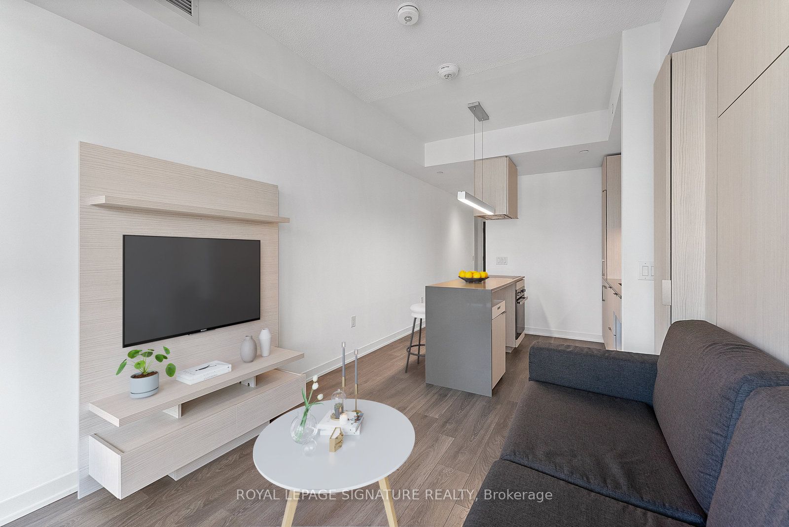 15 Lower Jarvis Street 1509