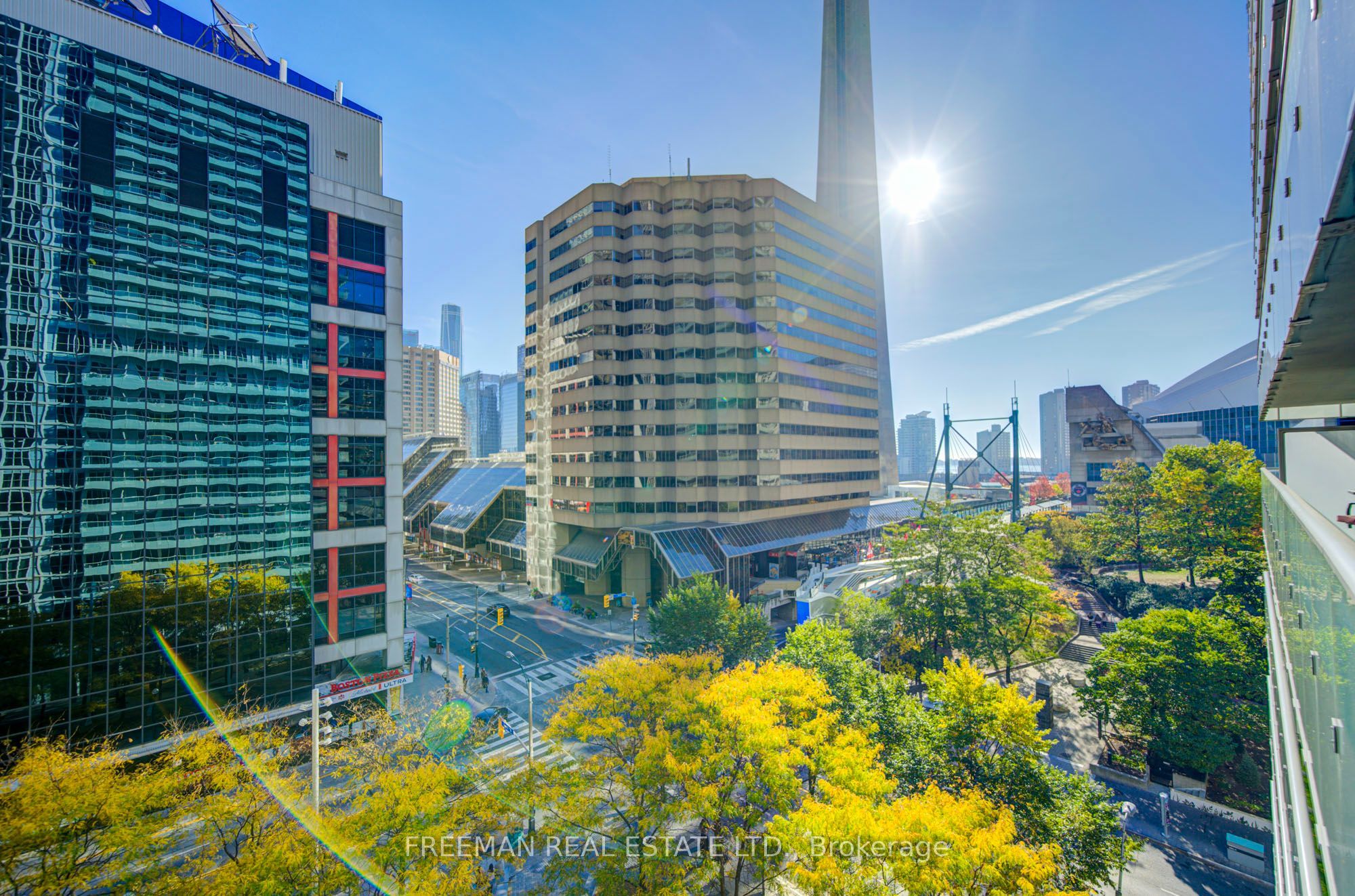 300 Front Street W 709