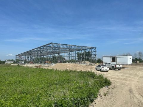 540 Lake Road (Phase 1 & Phase 2) Clarington ON L1C 4P8