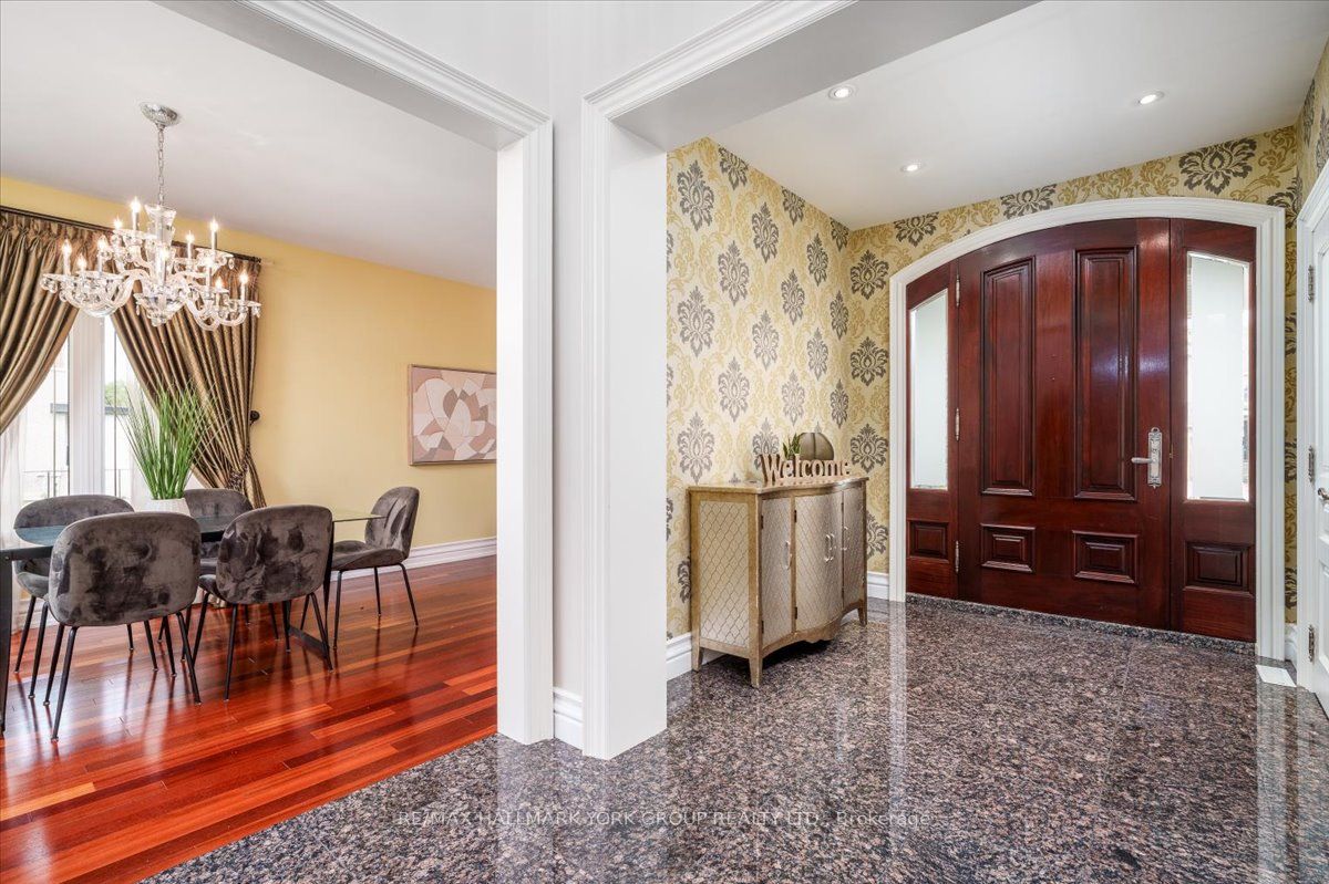 41 Direzze Court