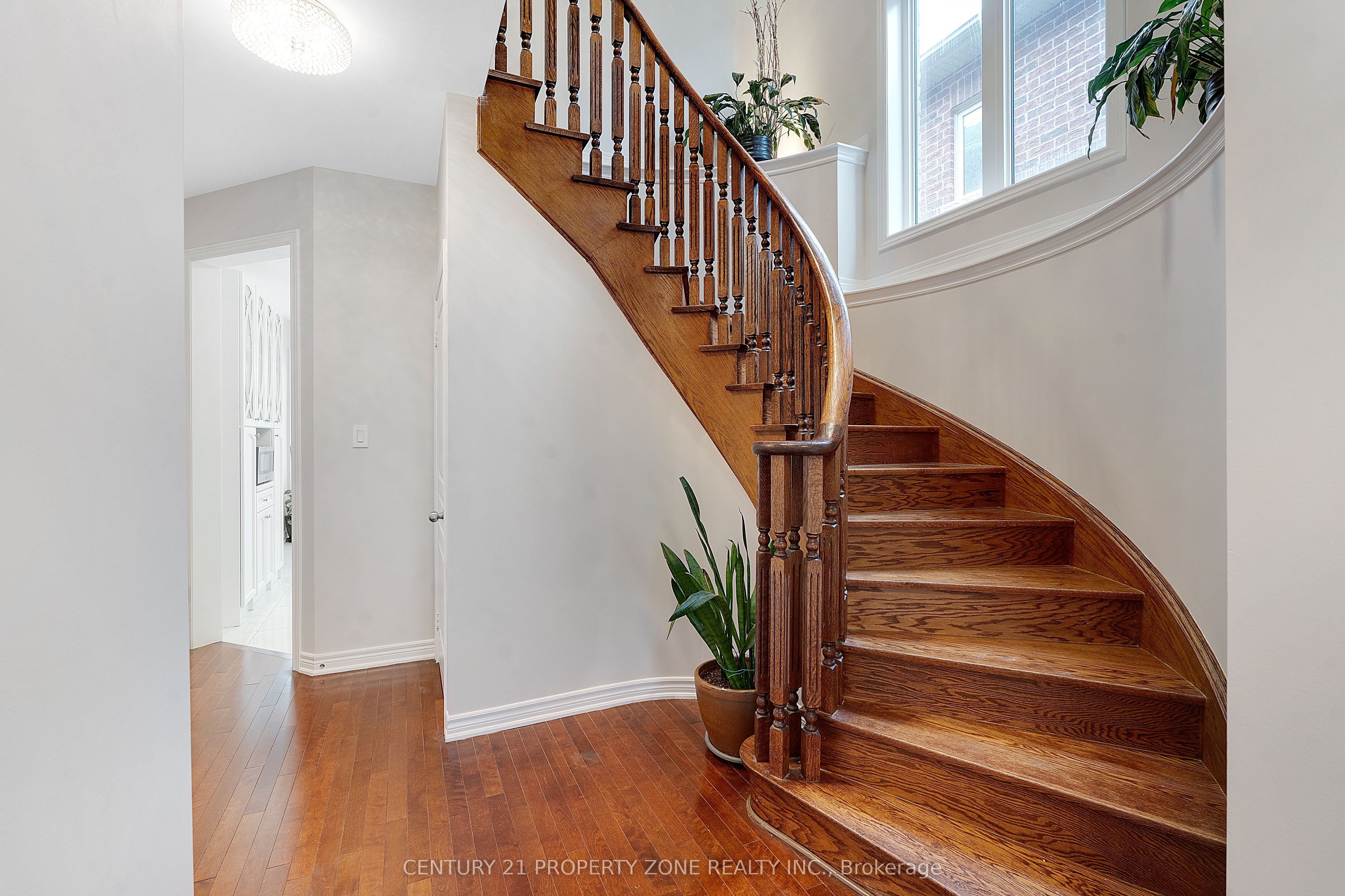 19 Bellcrest Road