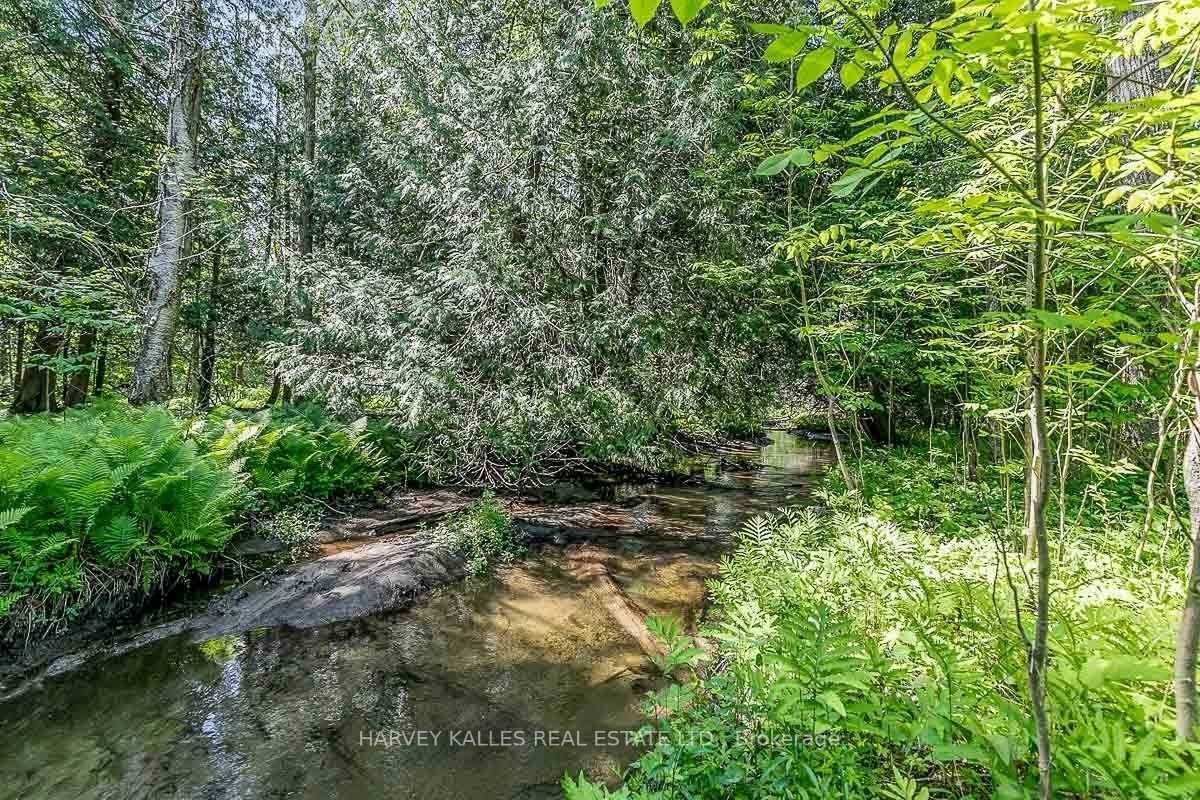 16866 Mclaughlin Road