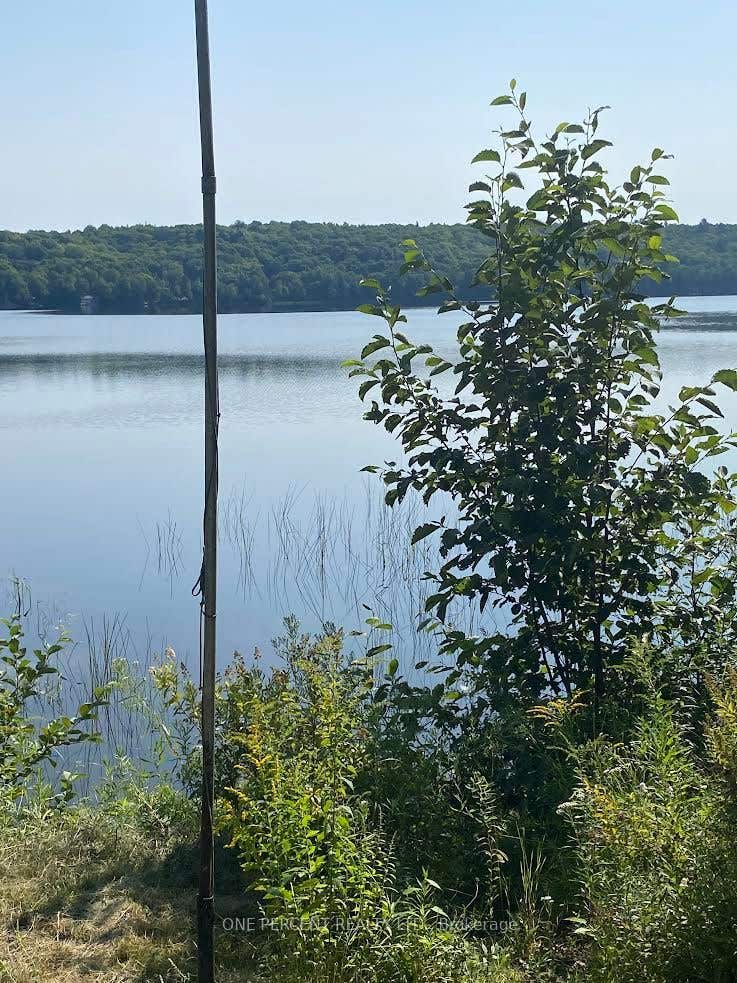 Photo of 194 Maws Road, Huntsville, ON P0A 1R0 (MLS # X13704320)