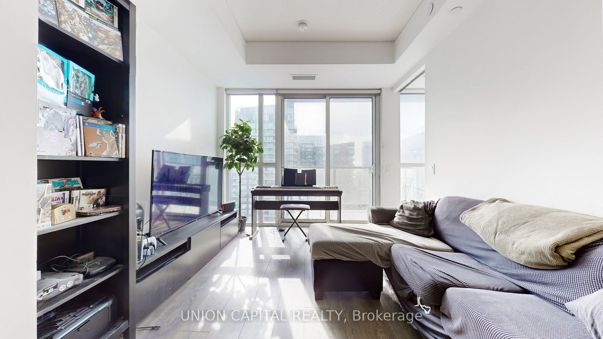 87 Peter Street 4215