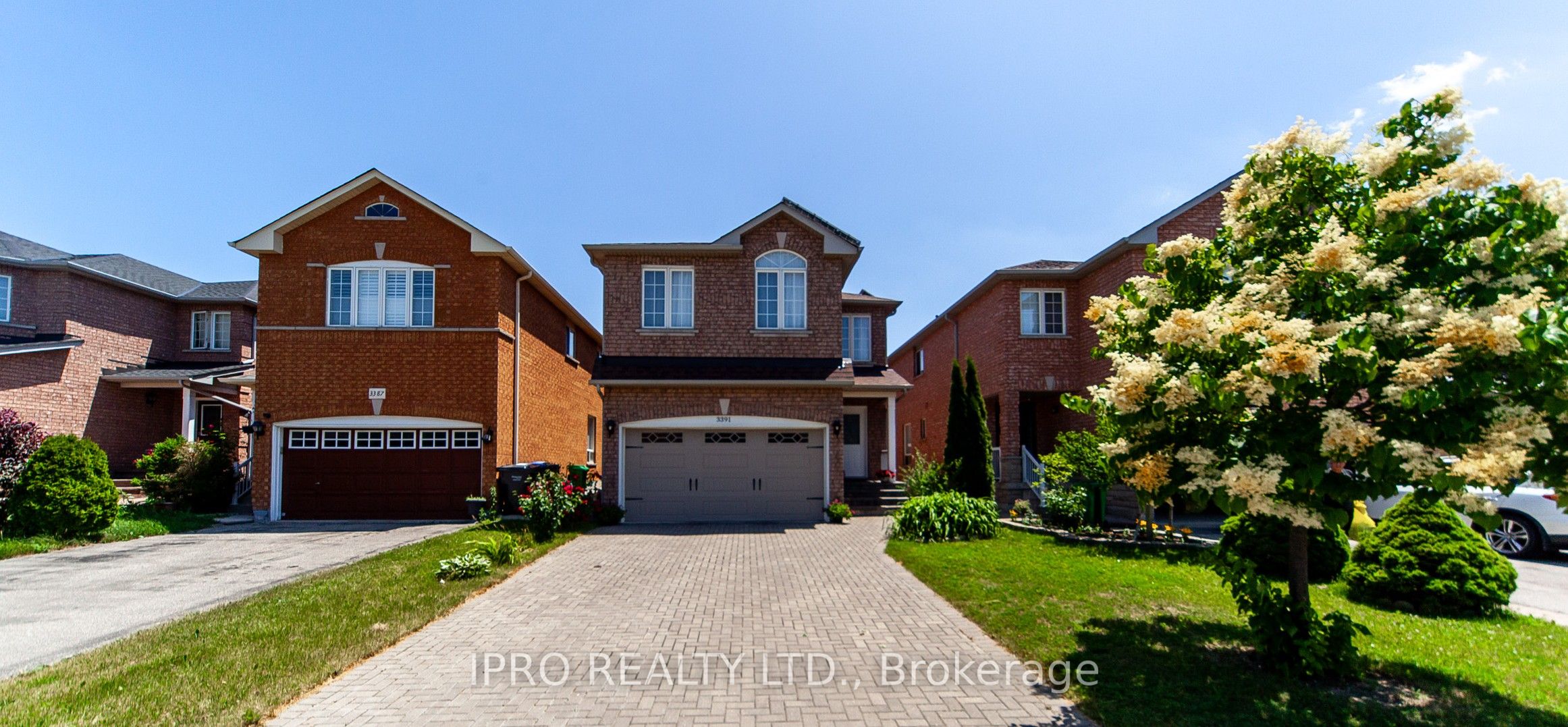 3391 Crimson King Circle