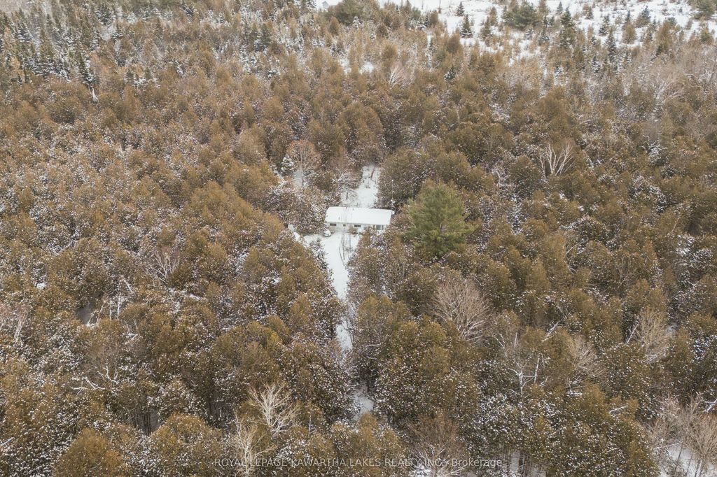 Photo of 38 Fell Station Drive, Kawartha Lakes, ON K0M 1N0 (MLS # X12625348)