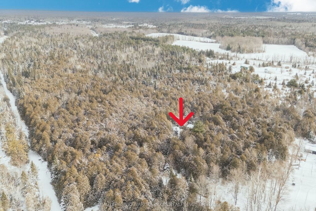 Photo of 38 Fell Station Drive, Kawartha Lakes, ON K0M 1N0 (MLS # X12625348)